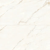 Bedrosians Magnifica 24" x 48" Honed Calacatta Oro