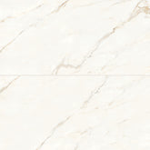 Bedrosians Magnifica 24" x 48" Polished Calacatta Oro