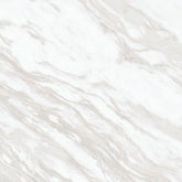 Daltile Perpetuo 24" X 24" Polished Timeless White