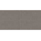 Daltile Astronomy 12" X 24" Solstice