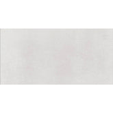 Daltile Cohesion 24" X 48" Polished White