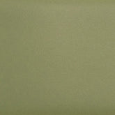 Daltile Natural Hues 6'' x 12'' Matte Artichoke