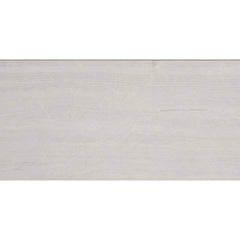 Emser Metro 12"x24" Polished Cream
