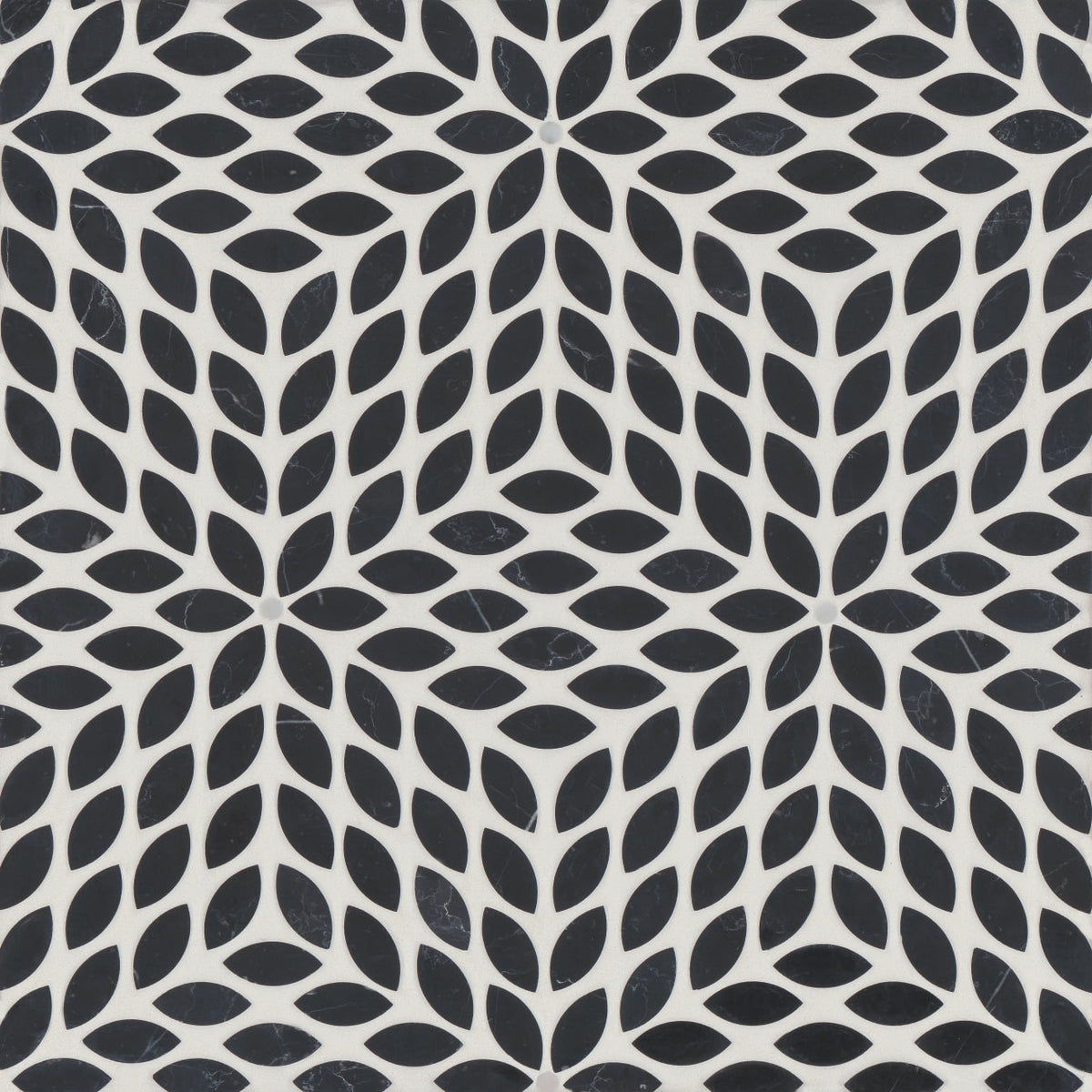 Bedrosians Celeste 14.25" x 16.25" Honed Nero Marquina/Calacatta Losanna