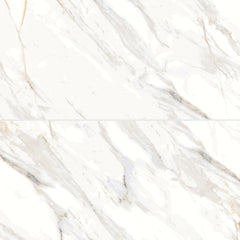 Bedrosians Shandar 24" X 48" Polished Arezzo Bianco