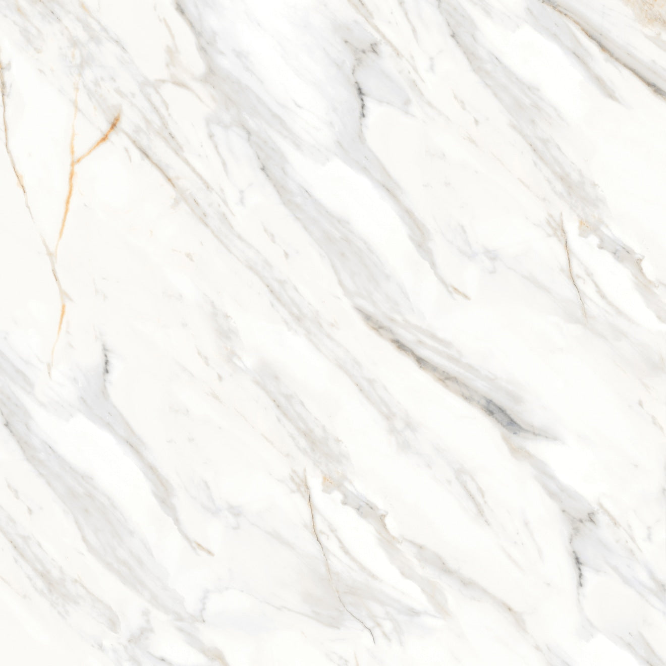 Bedrosians Shandar 48" X 48" Matte Arezzo Bianco