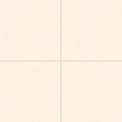 Bedrosians Shandar 24" X 24" Polished Crema Marfil Light