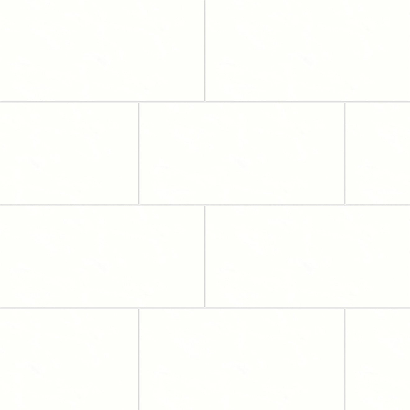 Bedrosians Shandar 12" X 24" Matte Plain White