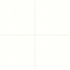 Bedrosians Shandar 24" X 24" Polished Plain White