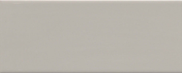 Emser Catch 4"x10" Matte Fawn