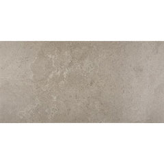 Daltile Advantage 10'' X 14'' Satin Renoir Grey