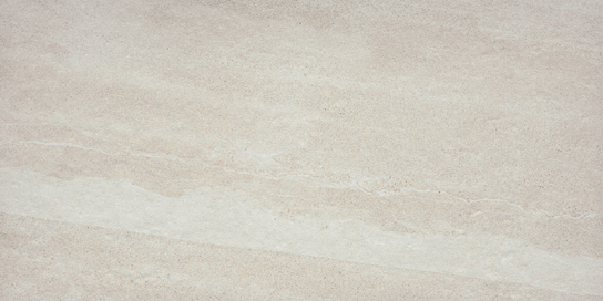 Emser Access II 12" X 24"  Path 