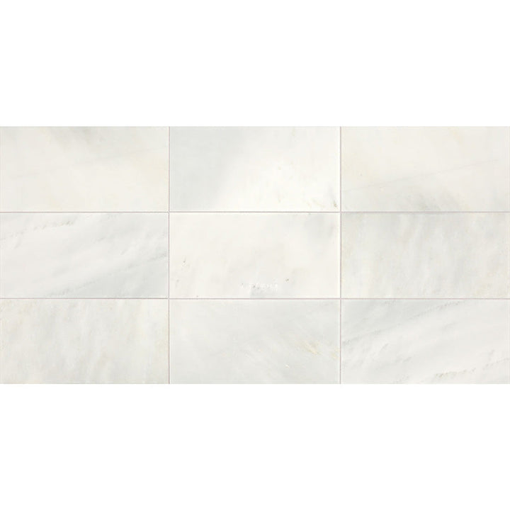American Olean Candora 12" X 24" Honed Vestal White