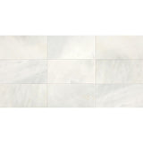 American Olean Candora 12" X 24" Honed Vestal White