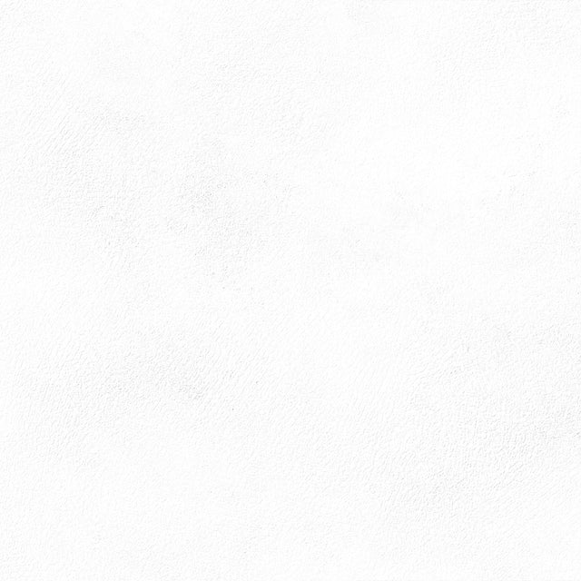 Emser Citizen 12"x24" Matte Civilian