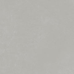 Emser Citizen 24"x47" Matte Public