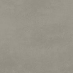 Emser Citizen 12"x24" Matte Resident