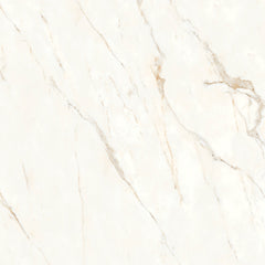 Bedrosians Magnifica Nineteen Forty-Eight 48" x 48" Honed Calacatta Oro