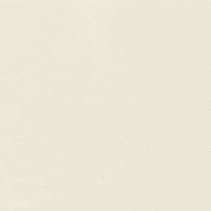 Daltile Color Wheel Linear 8" X 24" Matte Matte Biscuit