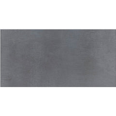 Daltile Cohesion 24" X 48" Polished Dark Grey