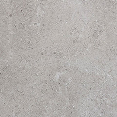 Daltile Dignitary 12" X 24" Rectangle Matte Eminence Grey