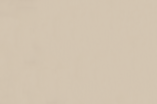 Emser Expanse 39" X 59" Matte  Solo Beige