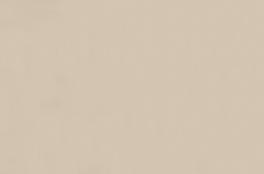 Emser Expanse 39" X 59" Matte  Solo Beige