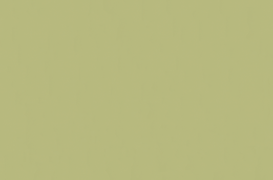 Emser Expanse 39" X 59" Matte  Solo Lime