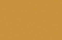 Emser Expanse 39" X 59" Matte  Solo Pumpkin