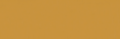 Emser Expanse 47" X 142" Matte  Solo Pumpkin
