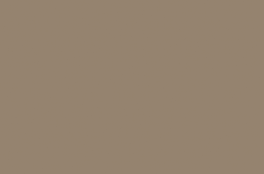 Emser Expanse 47" X 71" Matte  Solo Taupe