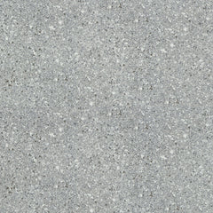 Emser Fragmento SM 24"x24" Matte Silver Small Speckle