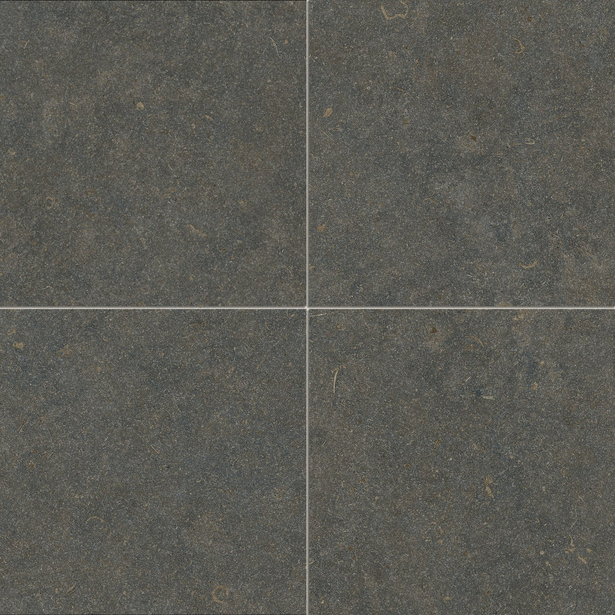 bedrosians Oda 36x36 Classic matte