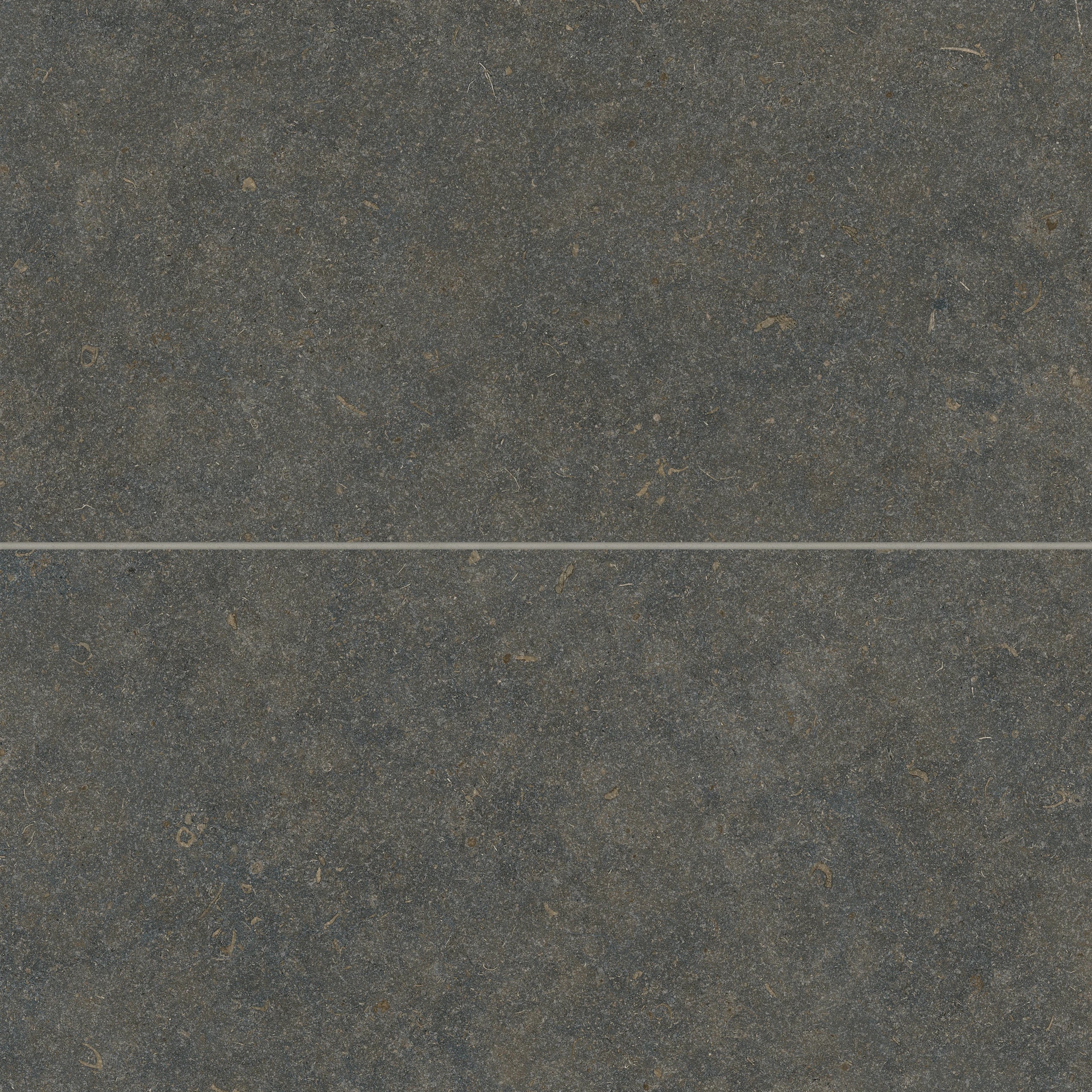 bedrosians Oda 24x48 Classic matte