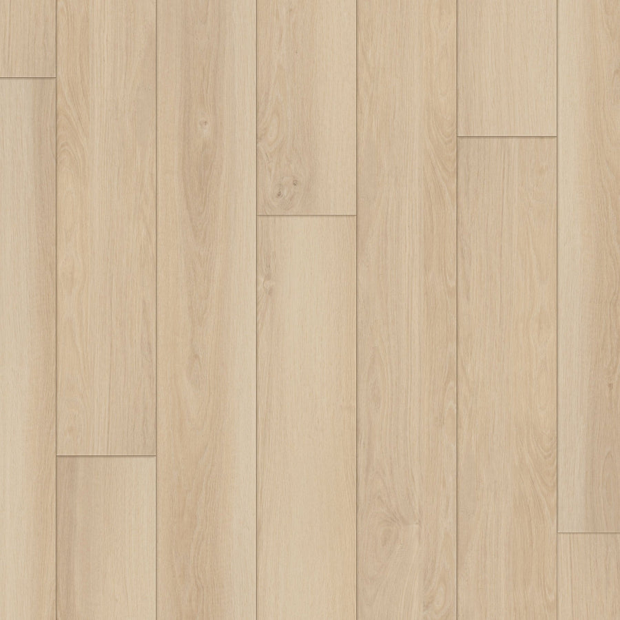 Happy Feet Regency 7" x 59.05" 8mm 20mil Stabilicor Plus (SPC) Sandy Bay