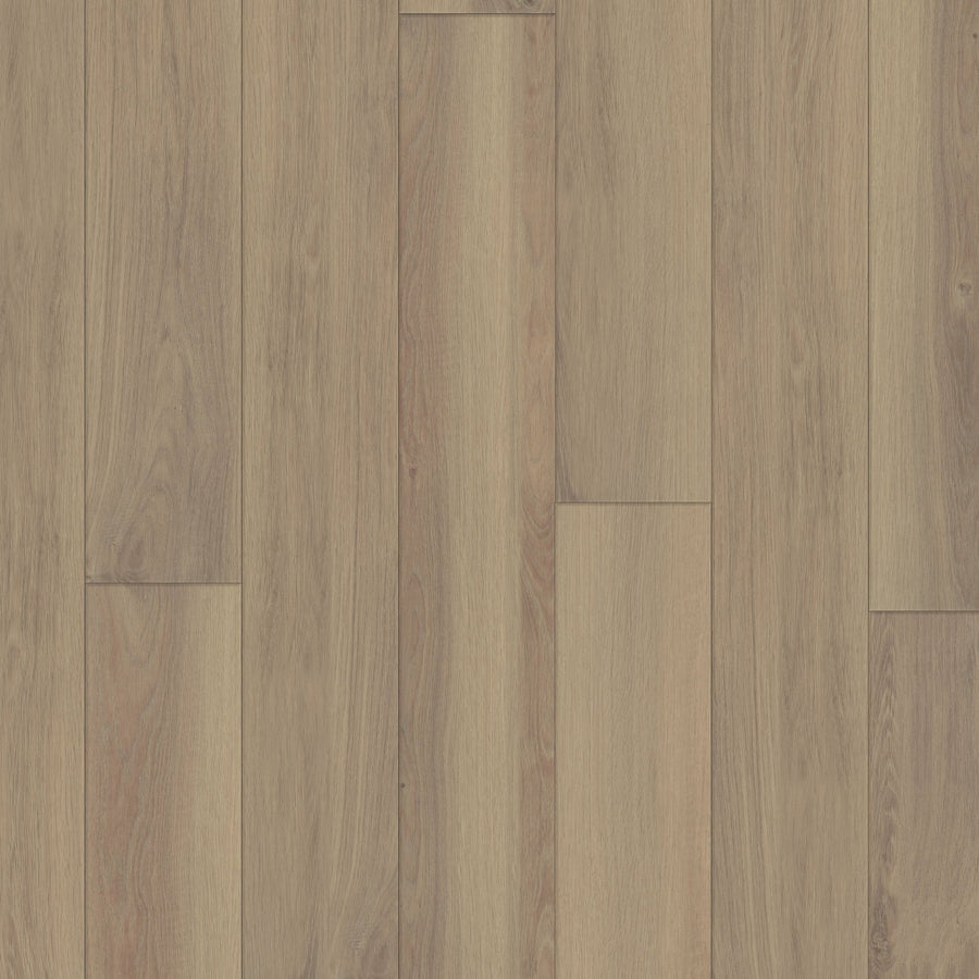 Happy Feet Regency 7" x 59.05" 8mm 20mil Stabilicor Plus (SPC) English Rose