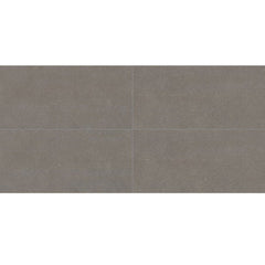 Daltile Astronomy 12" X 24" Solstice