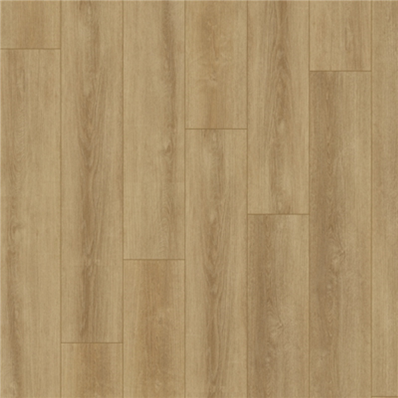 Chesapeake Intown 9" X 60" CITY VIBE