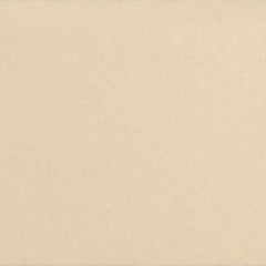 Daltile Natural Hues 2'' x 8'' Matte Almond