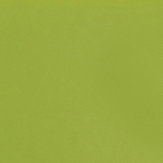 Daltile Natural Hues 4'' x 8'' Matte Kiwi