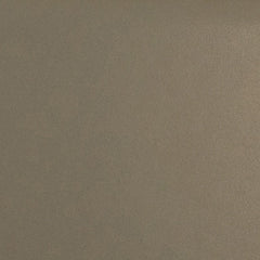 Daltile Natural Hues 2'' x 8'' Matte Mushroom