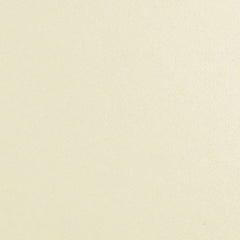 Daltile Natural Hues 2'' x 8'' Matte Ivory