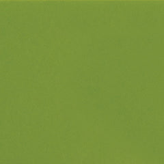 Daltile Natural Hues 6'' x 12'' Matte Fern