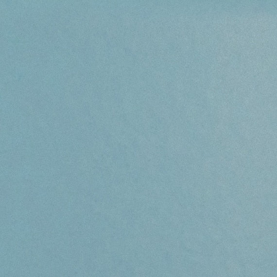 Daltile Natural Hues 2'' x 8'' Matte Iceberg