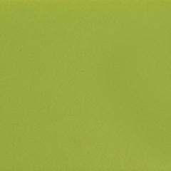 Daltile Color Complements 3" X 12" Matte Matte Kiwi