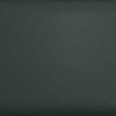 Daltile Natural Hues 2'' x 8'' Matte Pepper