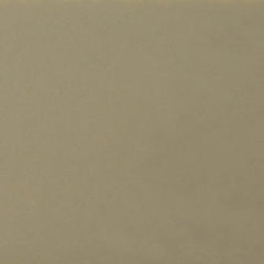 Daltile Natural Hues 8'' x 8'' Matte Birch