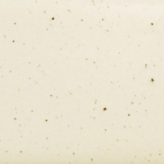 Daltile Natural Hues 2'' x 8'' Matte Freckles