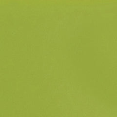 Daltile Natural Hues 6'' x 6'' Matte Kiwi