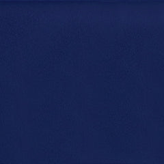 Daltile Colormatch 12" X 24" Matte Matte Blueberry